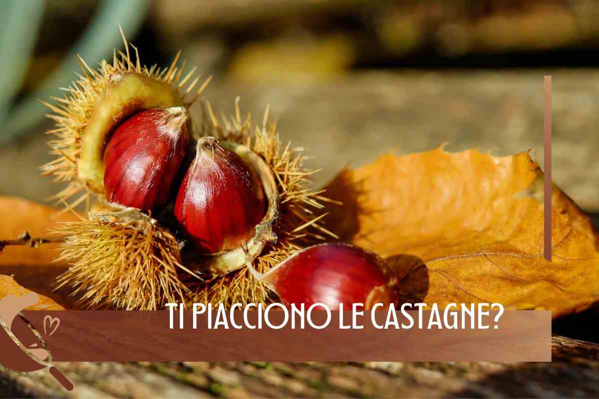 Castagne