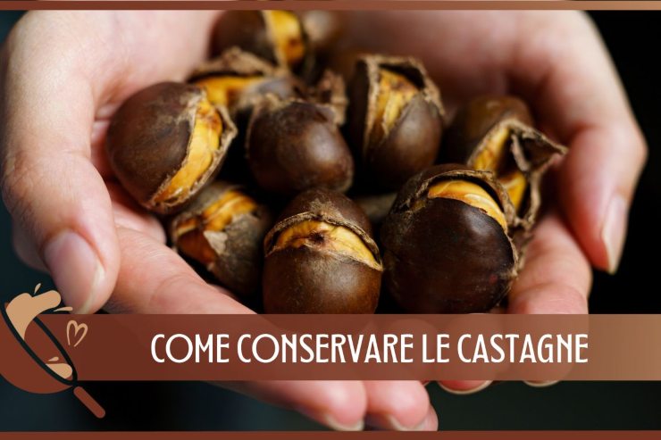 castagne