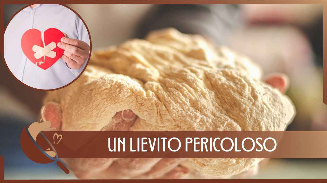 Lievito ingredienti