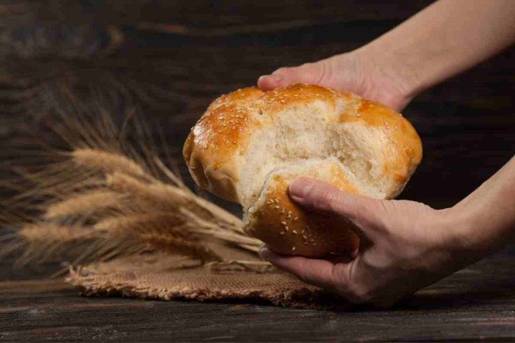 PANE FRESCO TRUCCO