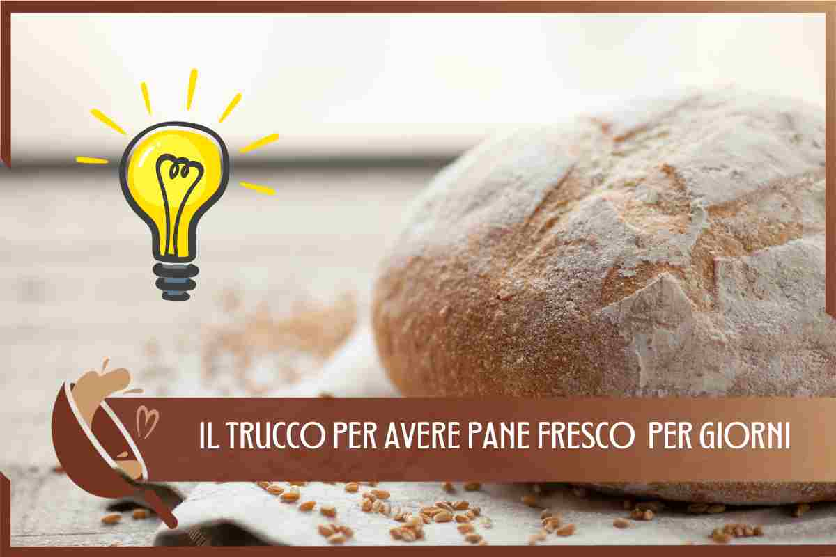 PANE FRESCO TRUCCO