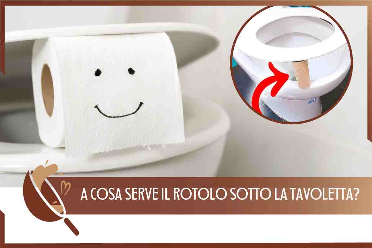 ROTOLO CARTA IGIENICA SOTTO TAVOLETTA WC
