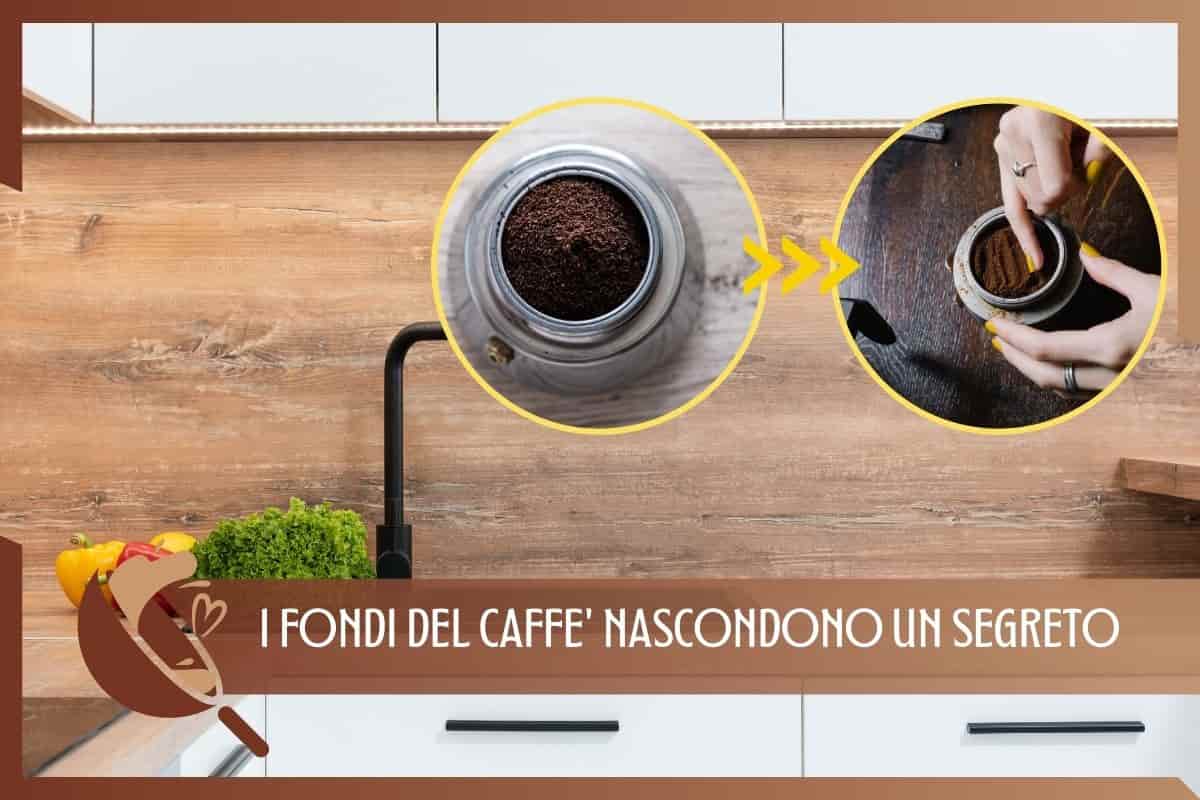 fondi del caffè