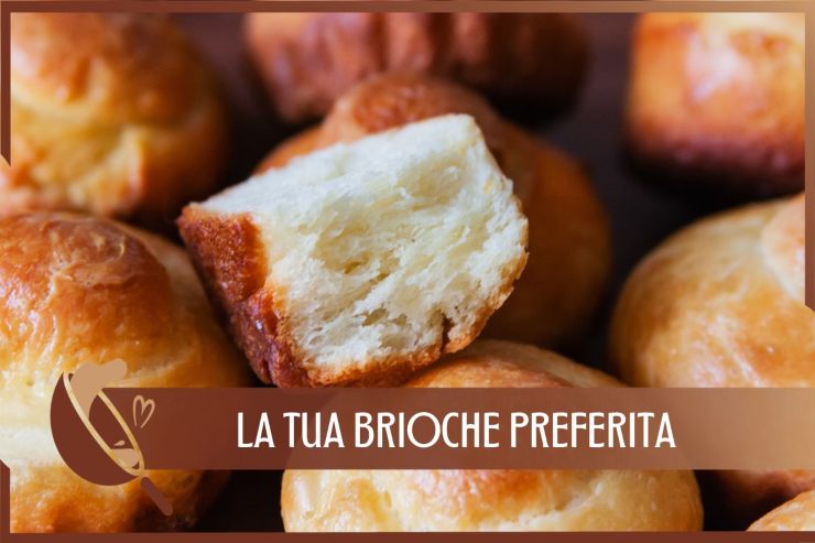 Brioche