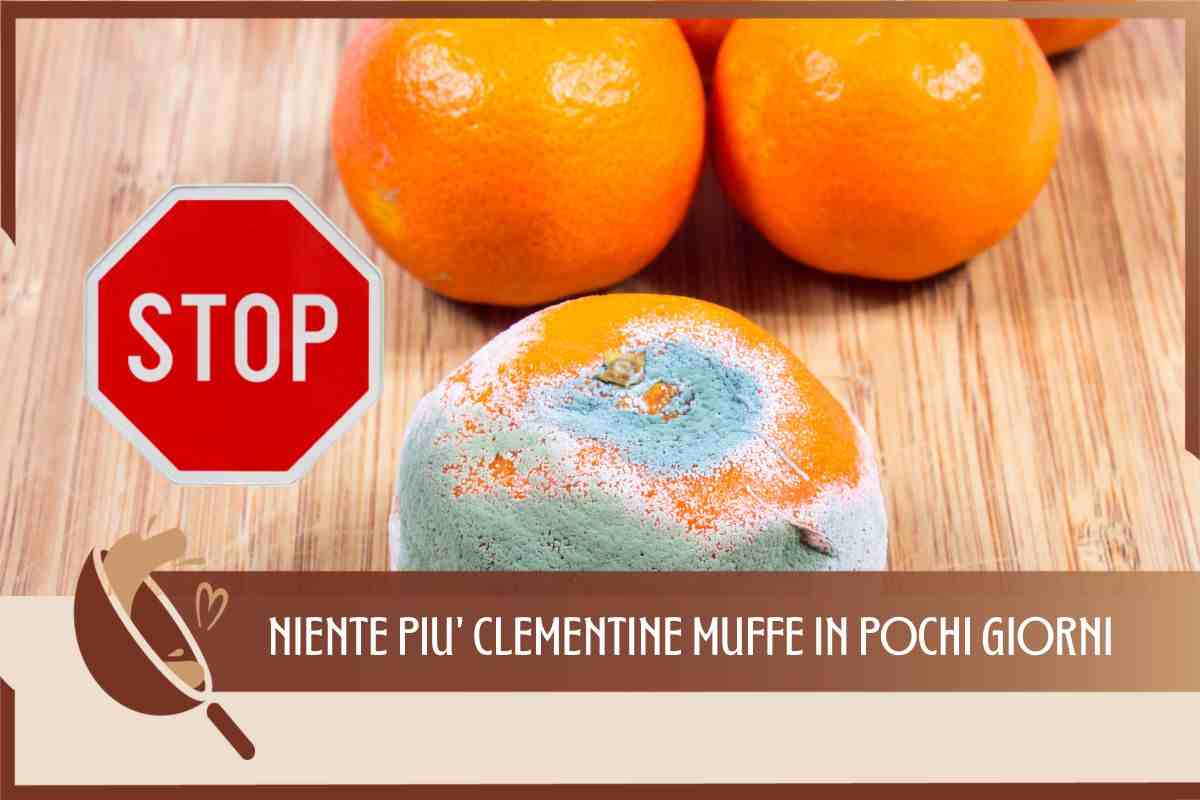 CLEMENTINE MARCE STOP TRUCCO