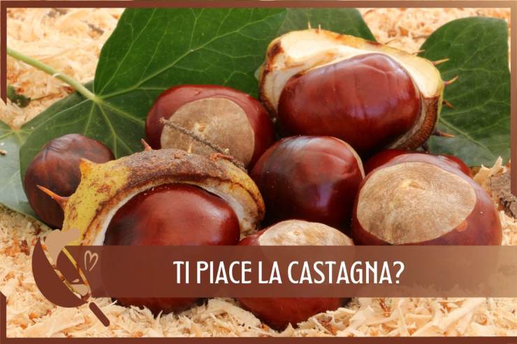 Castagna