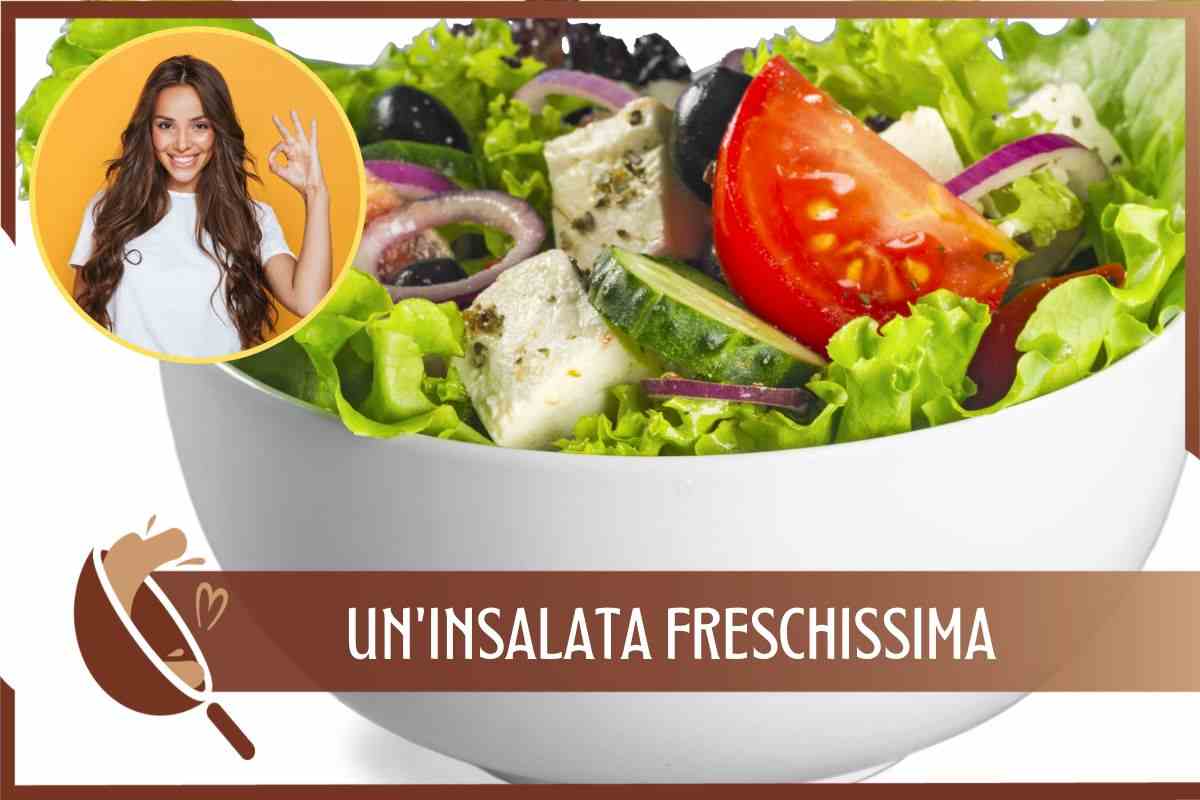 Insalata