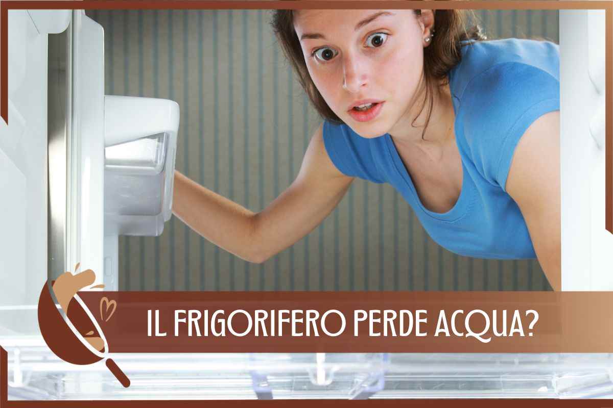 Frigorifero