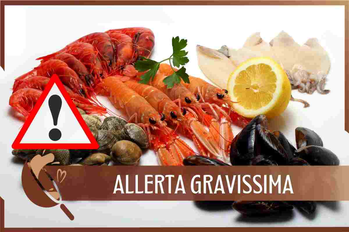 Allerta gravissima molluschi