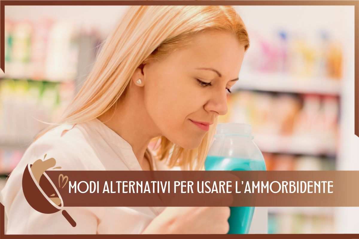 Trucco ammorbidente spray, lavare fiori finti