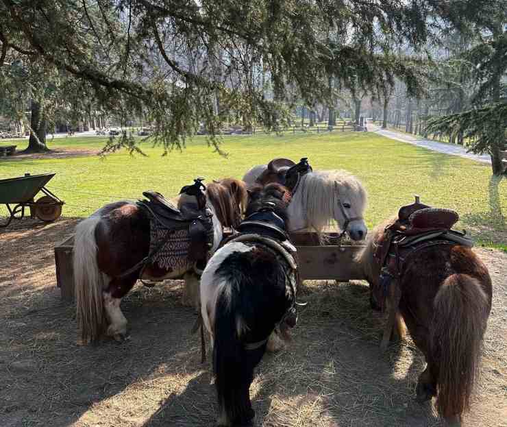 L'agriturismo preferito dei Ferragnez