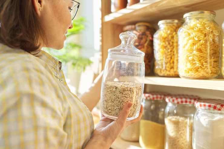 INSETTI CUCINA ADDIO