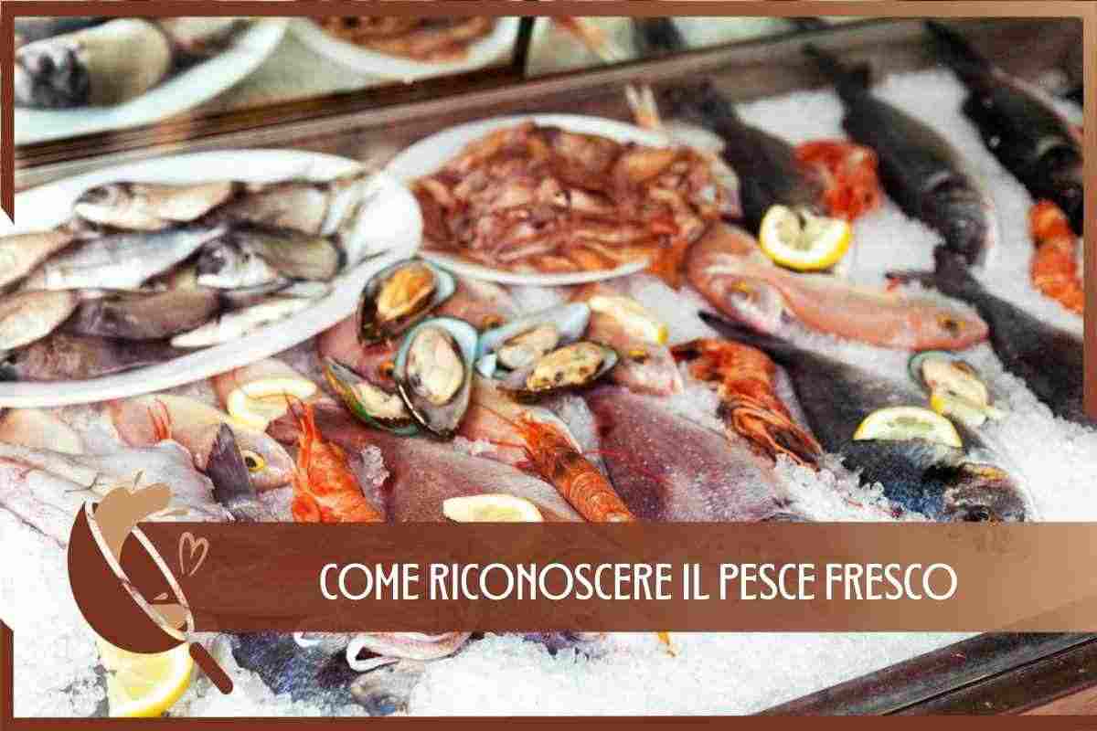 RICONOSCERE PESCE FRESCO 