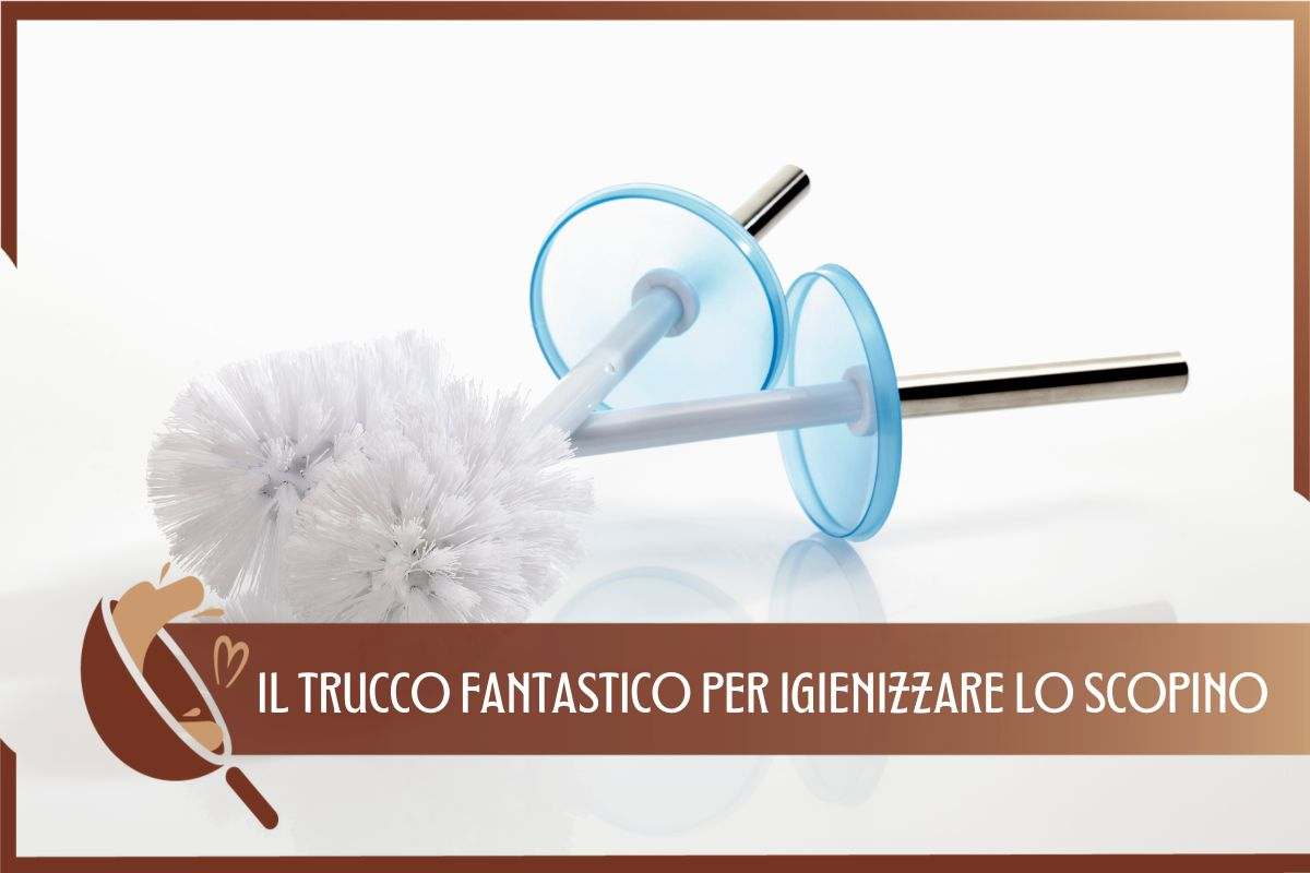 TRUCCO SCOPINO WC 