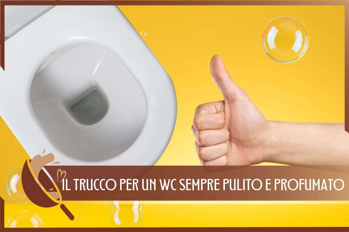 TRUCCO WC PULITO 