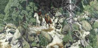 Test cowboy foresta facce