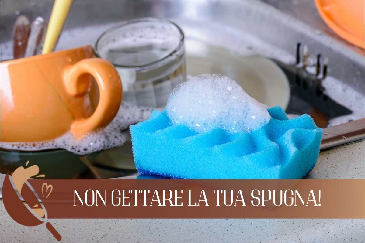 Ecco come puoi utilizzare l tua spugna da cucina