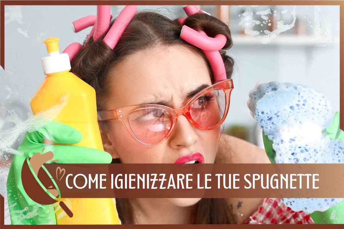 Spugnette cucina