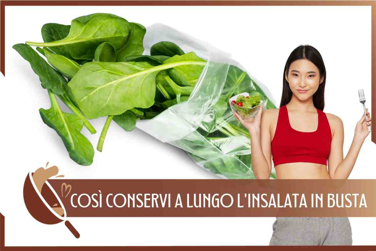 TRUCCO INSALATA IN BUSTA FRESCA 