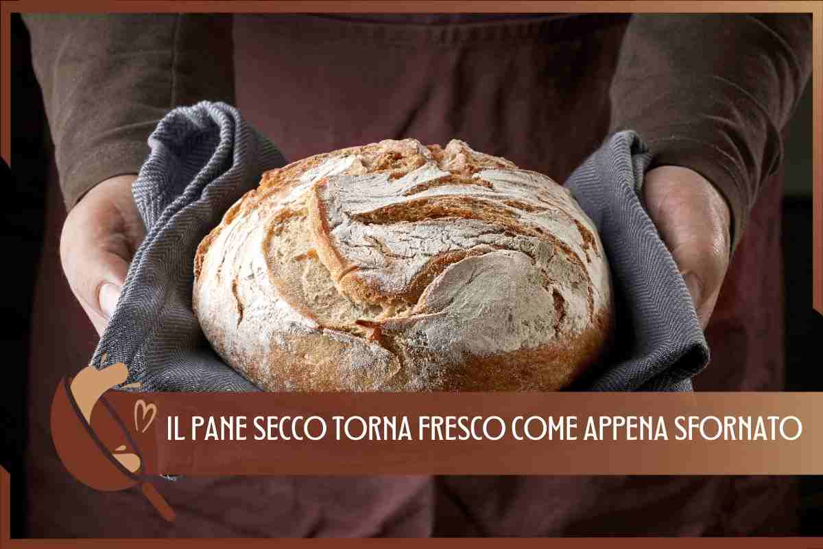 TRUCCO PANE TORNA FRESCO 