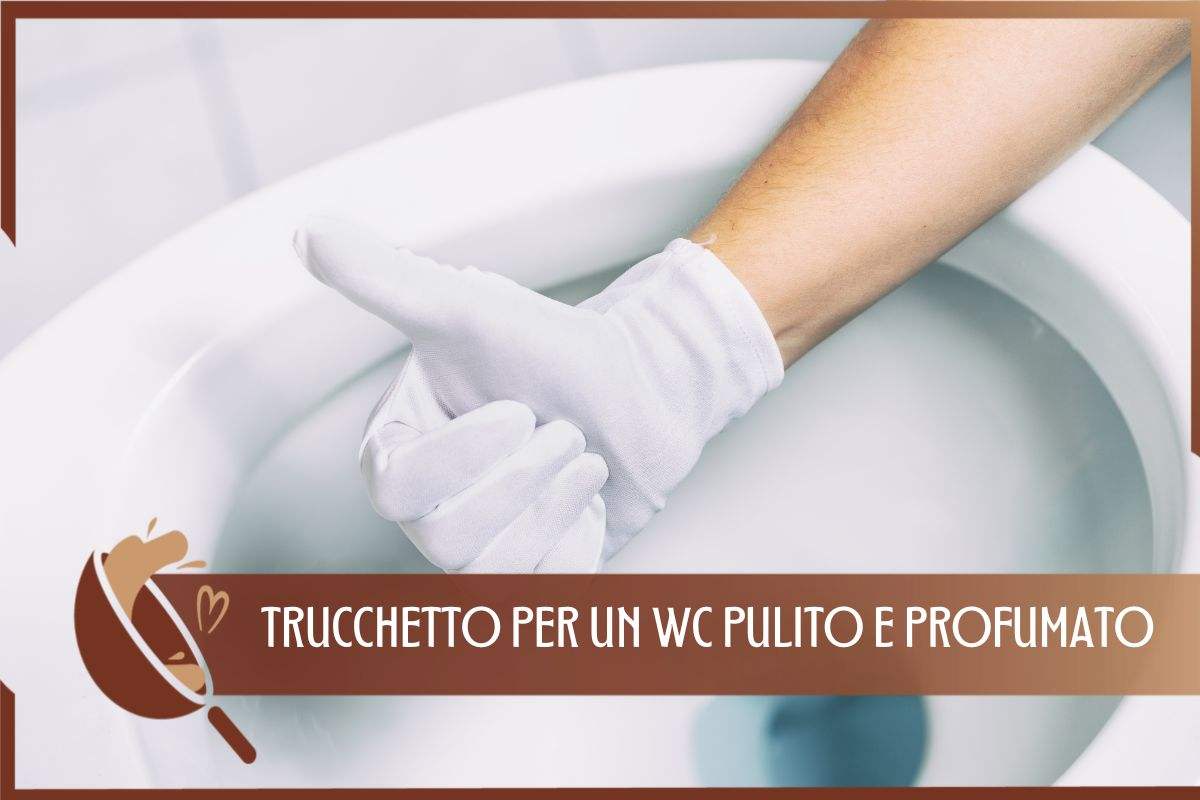 trucco wc