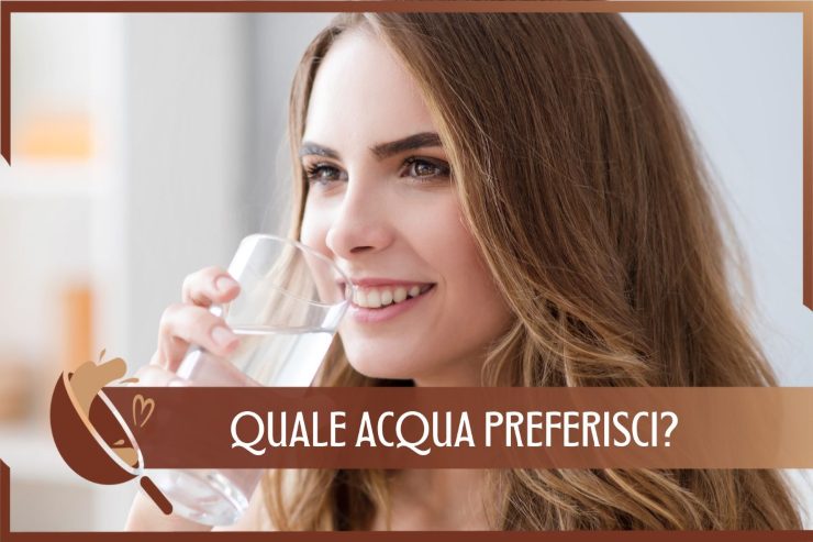 Acqua preferita gassata naturale