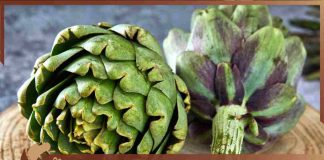 Cenetta favolosa con i carciofi