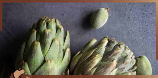 Carciofi ammollicati