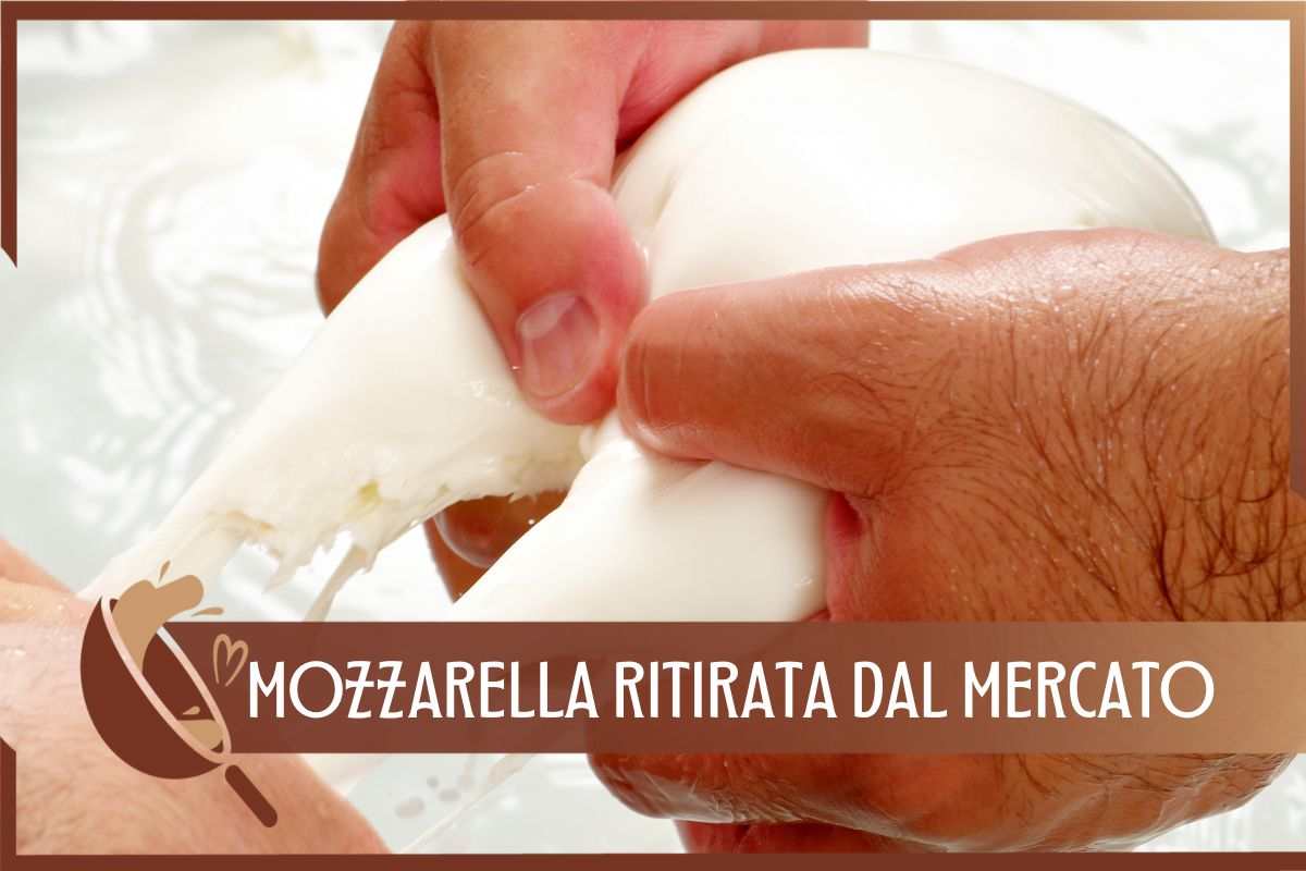 Allerta mozzarella