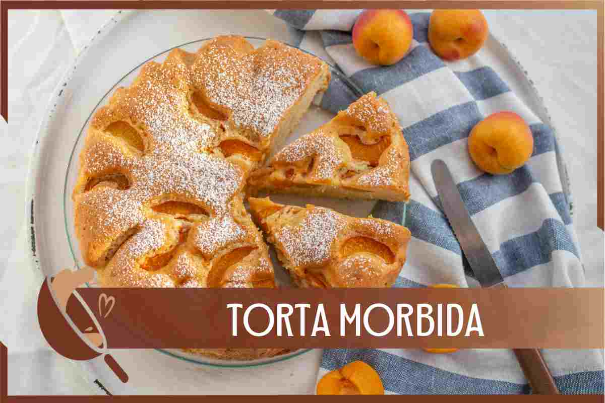 Torta morbida alle albicocche deliziosa