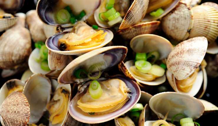 Ricetta spaghetti alle vongole 