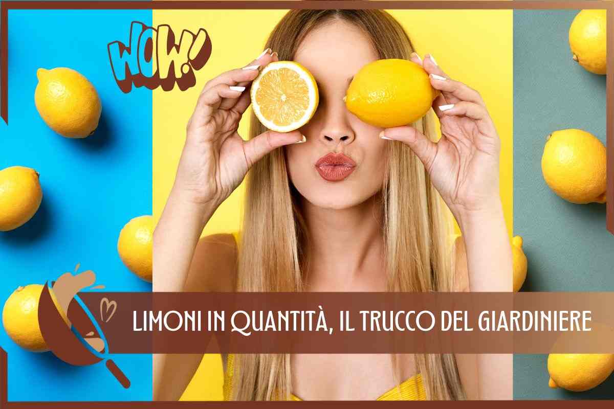 trucco coltivare limoni 