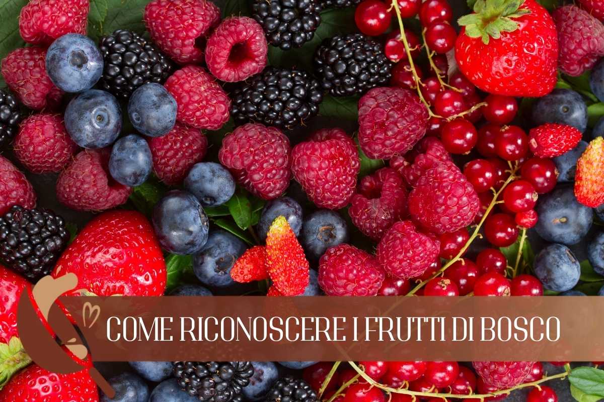 Come riconoscere tutti i frutti di bosco in base alle loro proprietà