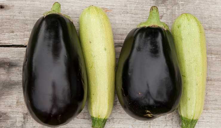 Ricetta zucchine e melanzane alla marinara