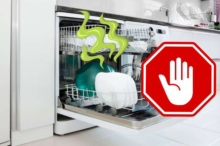 Trucco eliminare puzza lavastoviglie 